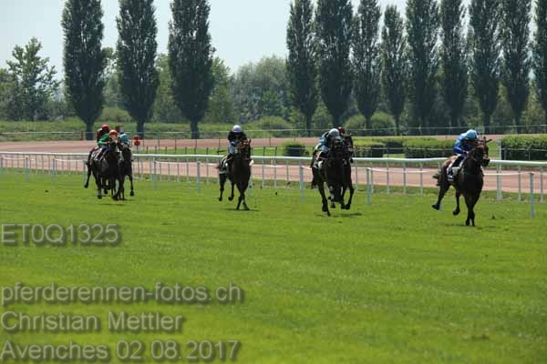 ET0Q1325 prot
